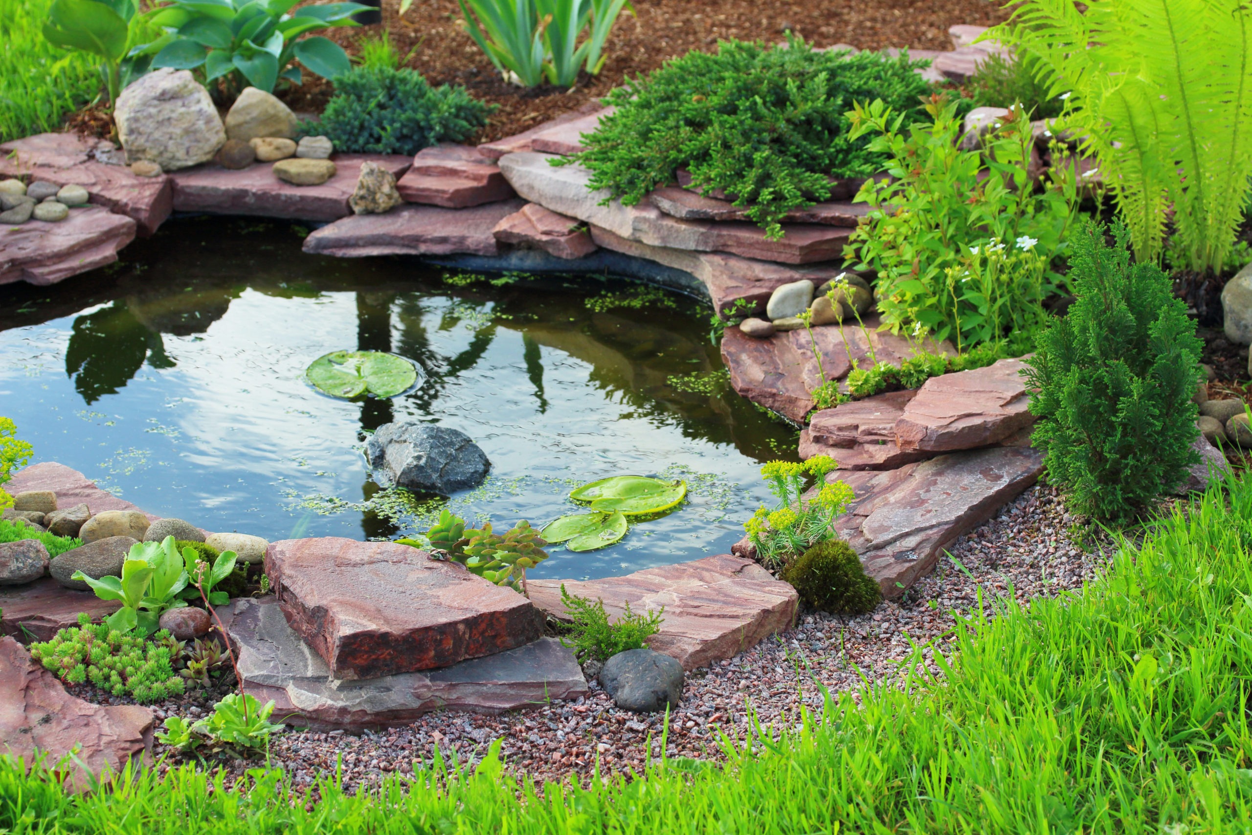 Pond in landscape design.