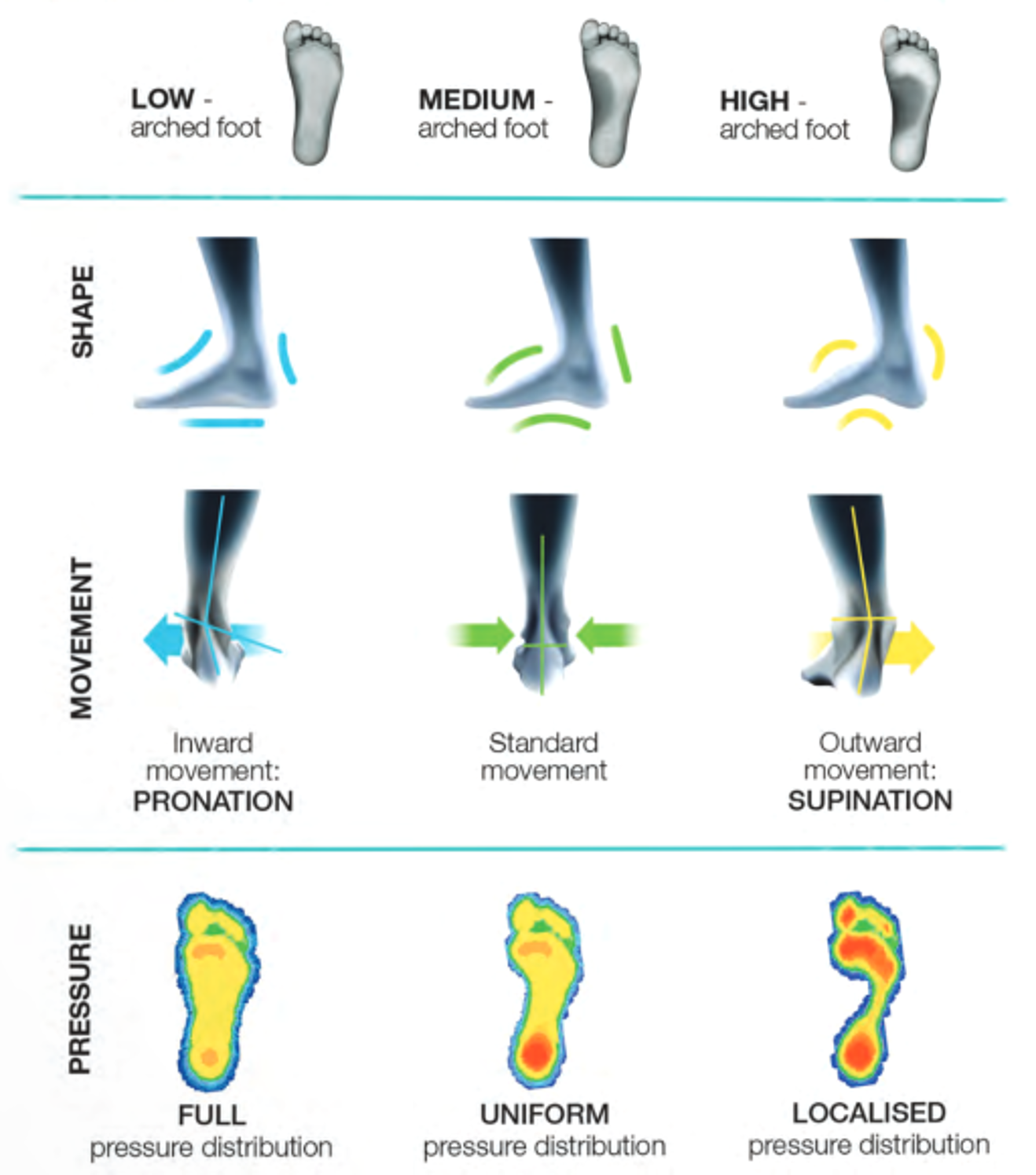 Using heat impression, it can identify the individuals’ correct arch type and match the appropriate arch support footbed for individual feet.